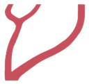 VEIN Logo