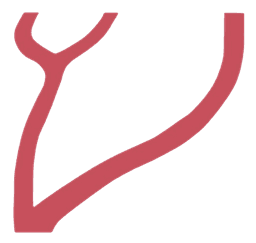 Vein Logo
